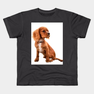 Brown sitting dog Kids T-Shirt